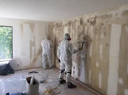 Trusted Neenah, WI Mold Inspection Experts